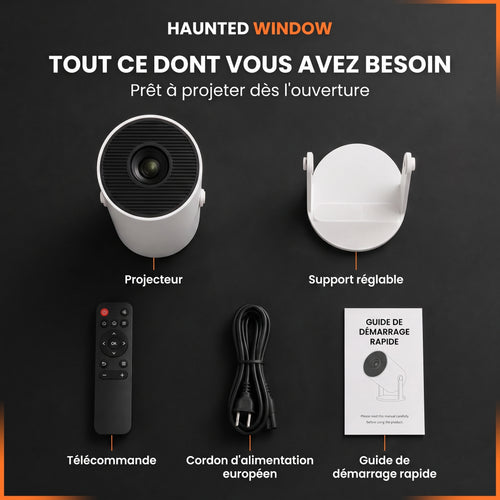 Projecteur Halloween pour Fen�tre